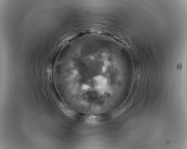 X0000091290527200708101249