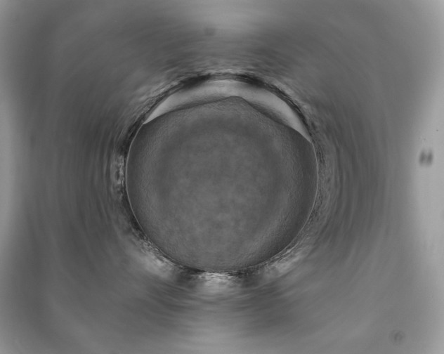 X0000091290528200708101248