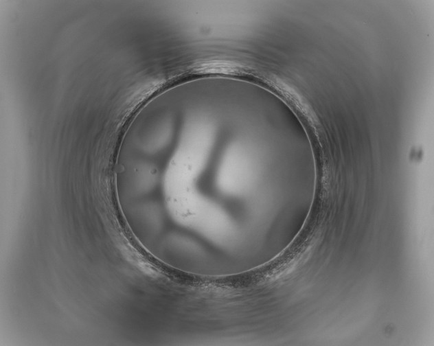 X0000091290529200708101248