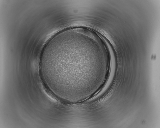 X0000091290530200708101248