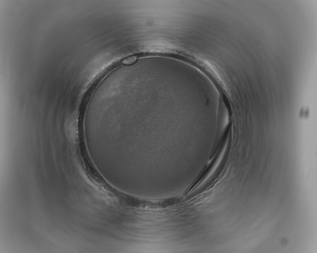 X0000091290531200708101248