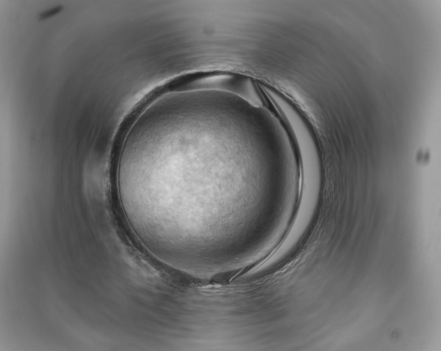 X0000091290532200708101248