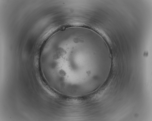 X0000091290533200708101248