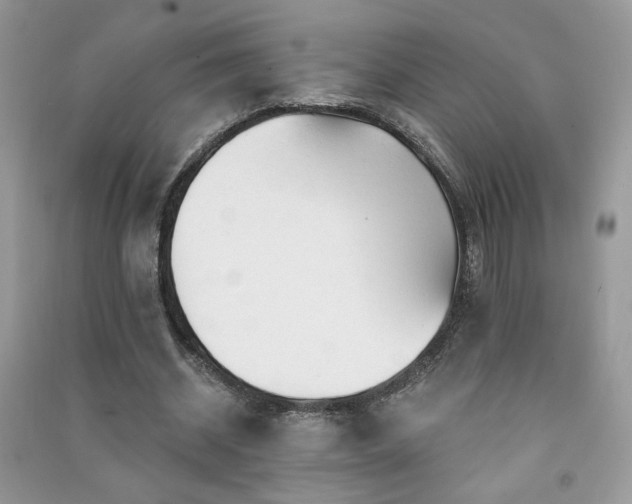 X0000091290534200708101248