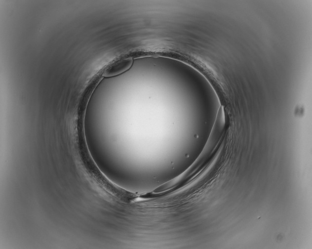 X0000091290535200708101248