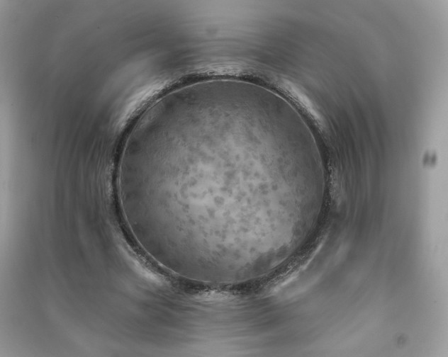 X0000091290537200708101248