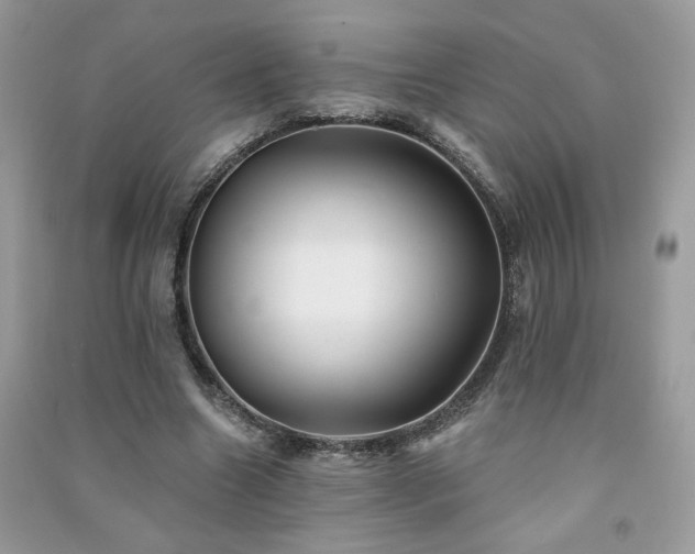 X0000091290538200708101248