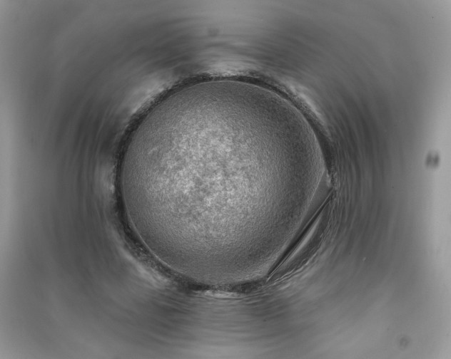 X0000091290539200708101248