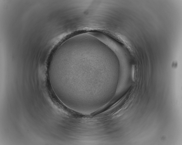 X0000091290540200708101248