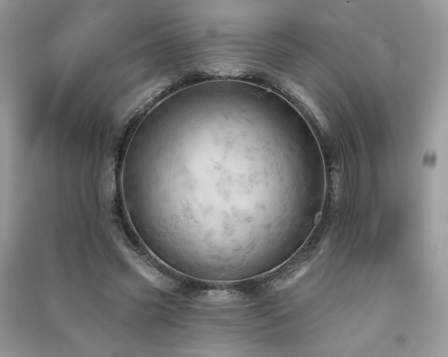 X0000091290541200708101248