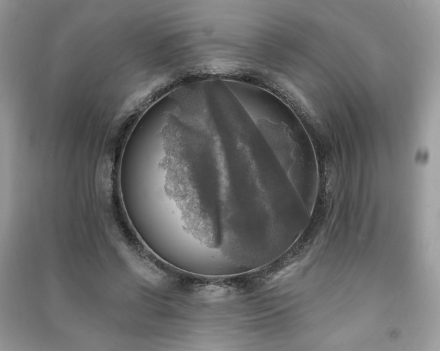 X0000091290542200708101248