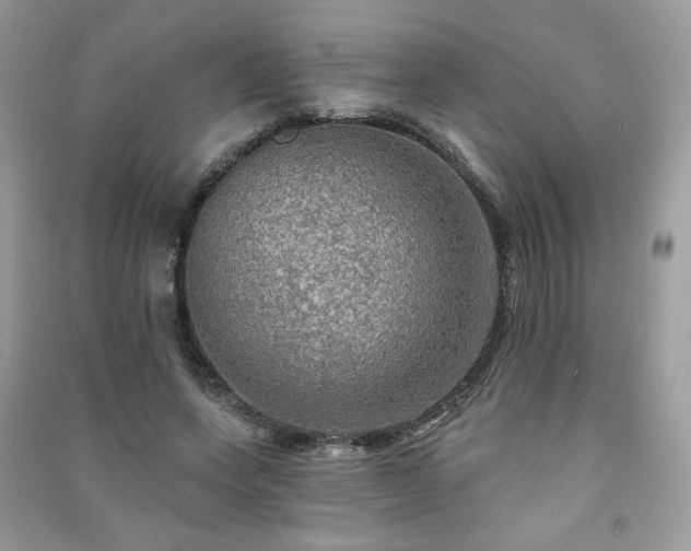 X0000091290543200708101248