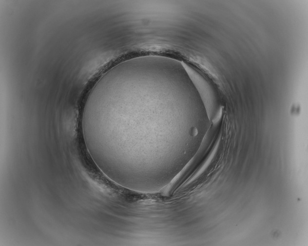 X0000091290544200708101248