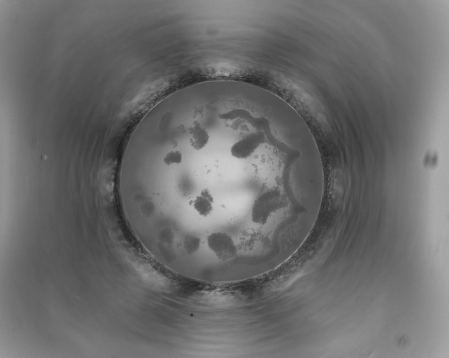 X0000091290545200708101248