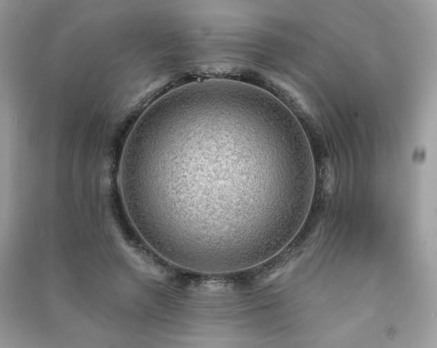 X0000091290546200708101248