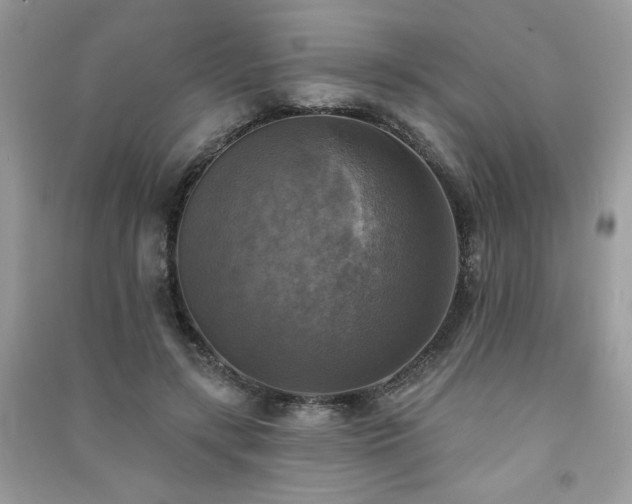 X0000091290547200708101248