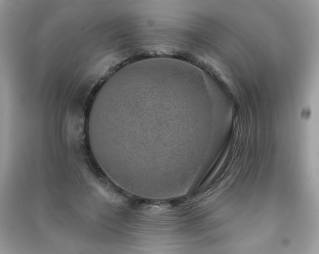 X0000091290548200708101248