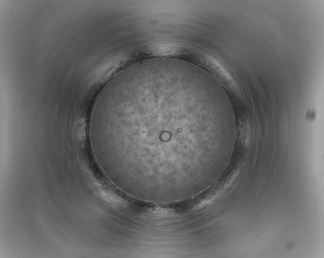 X0000091290549200708101248