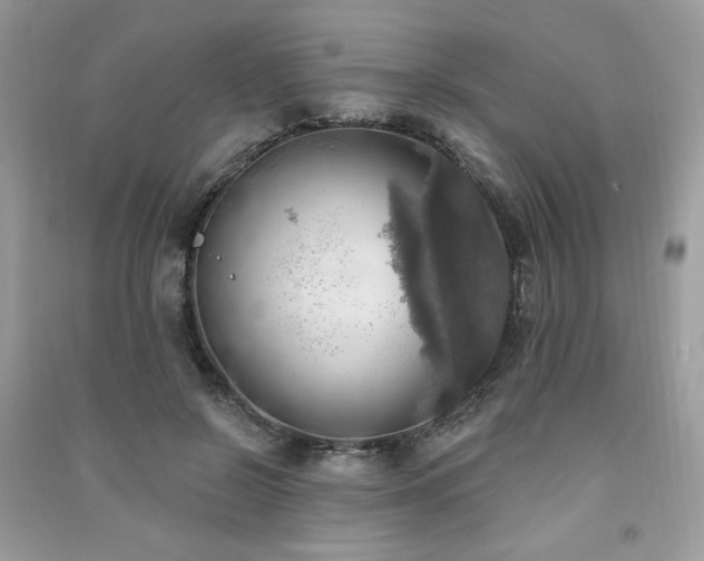 X0000091290550200708101248