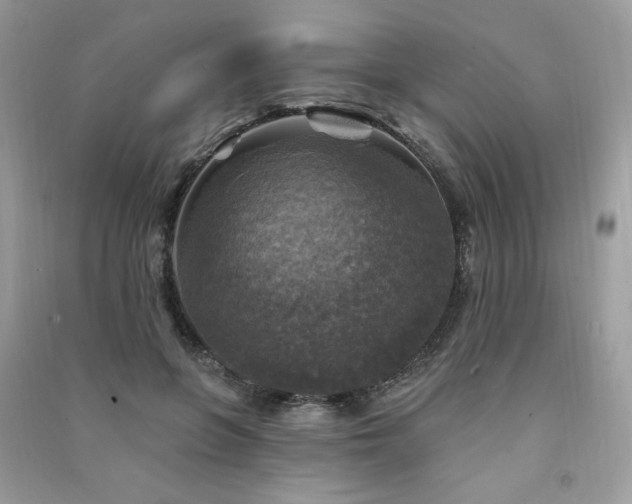 X0000091290551200708101248