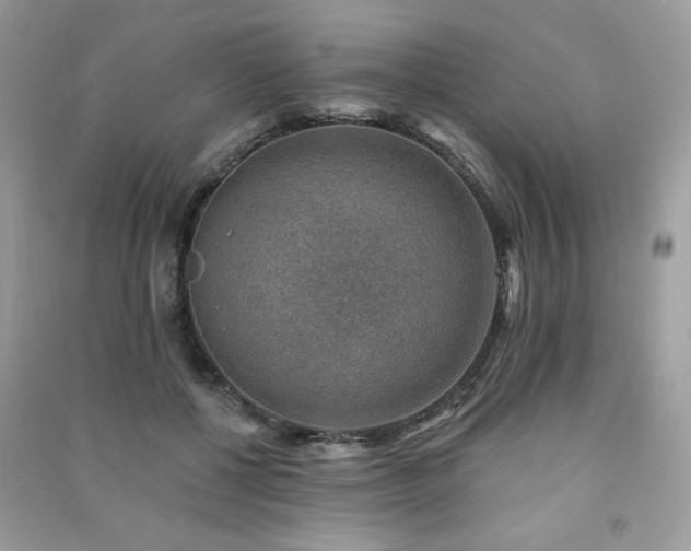 X0000091290552200708101248