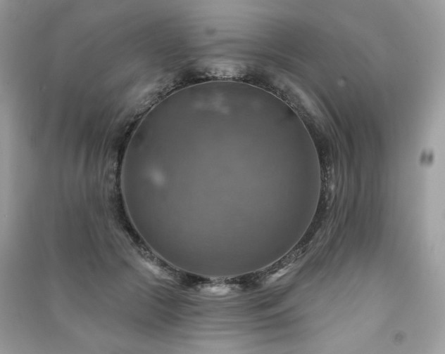 X0000091290553200708101248