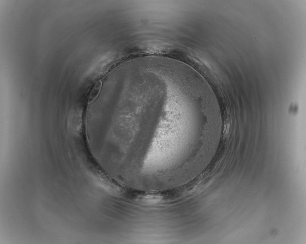 X0000091290554200708101248