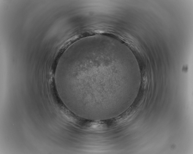 X0000091290555200708101248