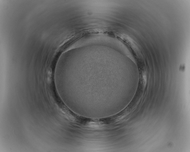 X0000091290556200708101248