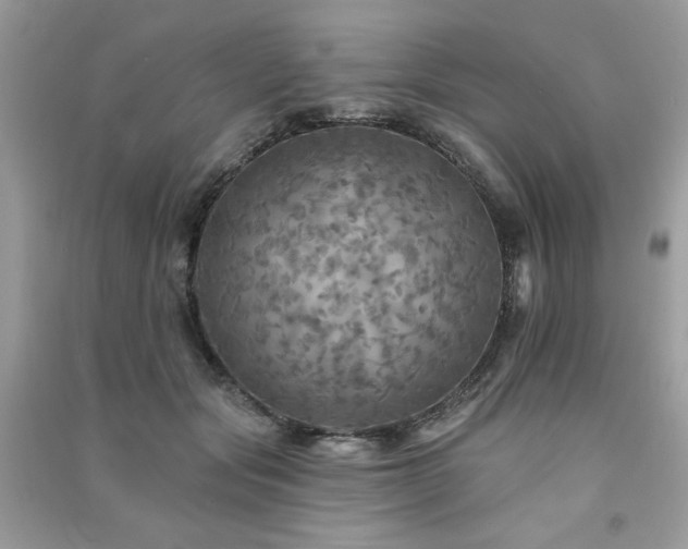 X0000091290557200708101248