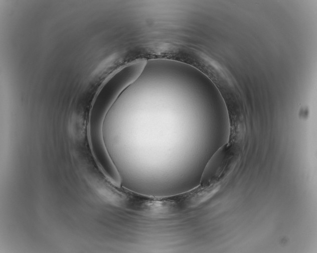 X0000091290558200708101248