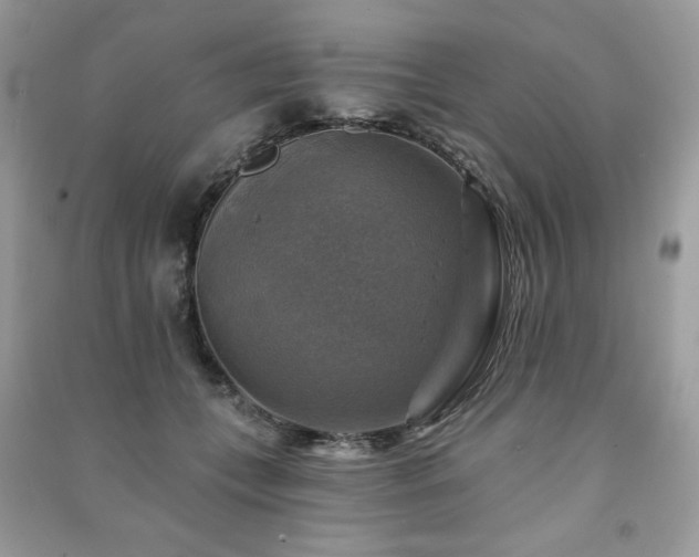 X0000091290559200708101248