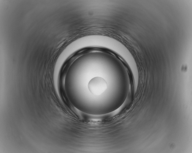 X0000091290560200708101248