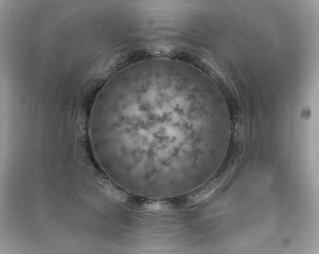 X0000091290561200708101248