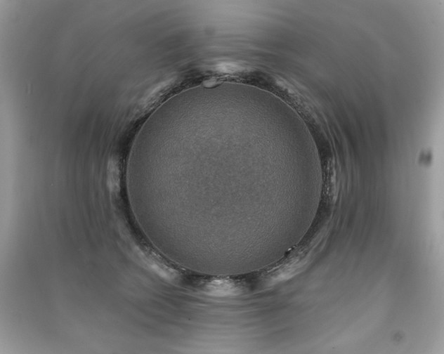 X0000091290562200708101248