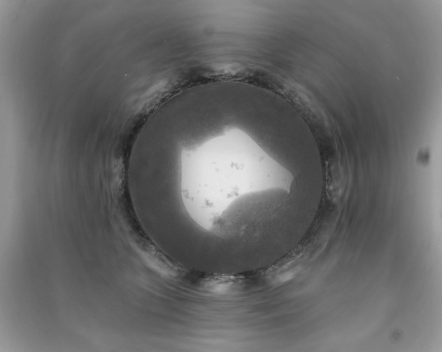 X0000091290563200708101248