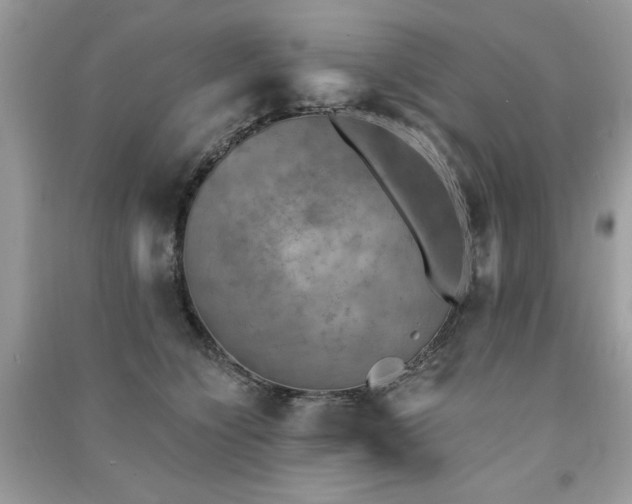 X0000091290564200708101248