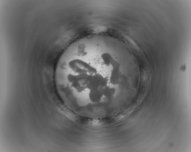 X0000091290565200708101248