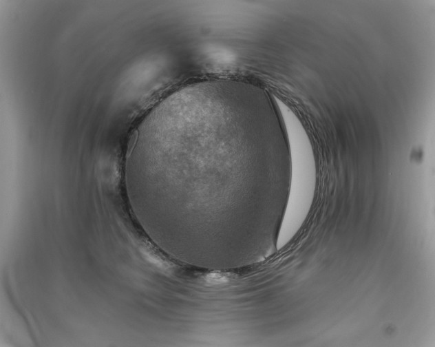 X0000091290566200708101248