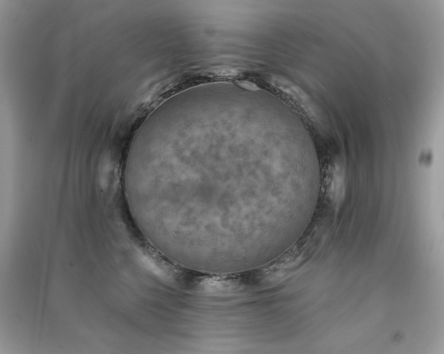 X0000091290568200708101248