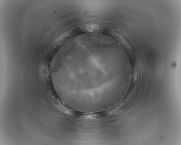 X0000091290569200708101248