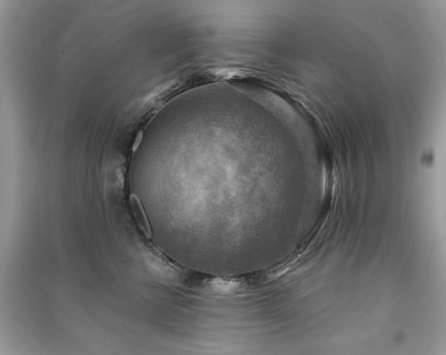 X0000091290570200708101248