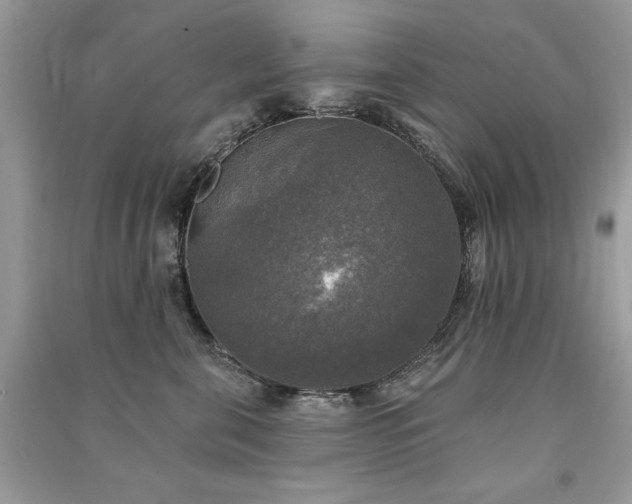 X0000091290571200708101248