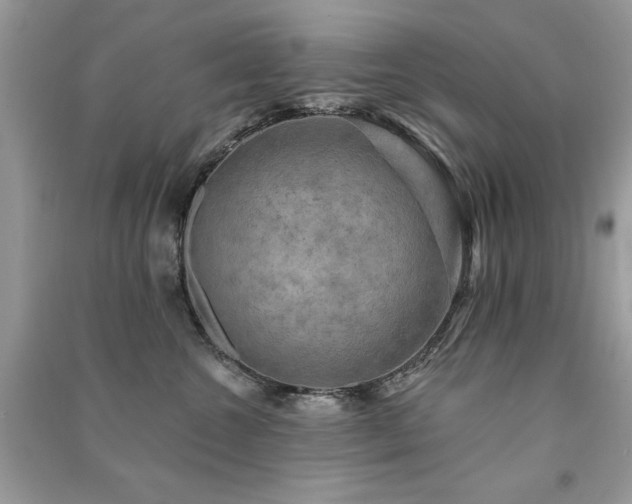 X0000091290572200708101248