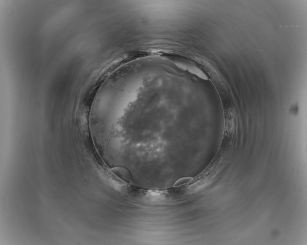 X0000091290573200708101248