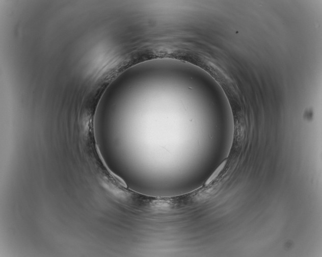 X0000091290574200708101248