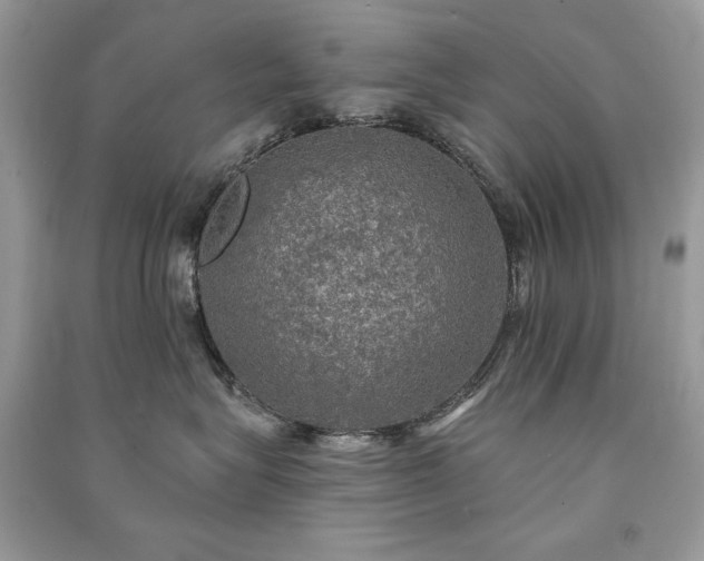 X0000091290575200708101248