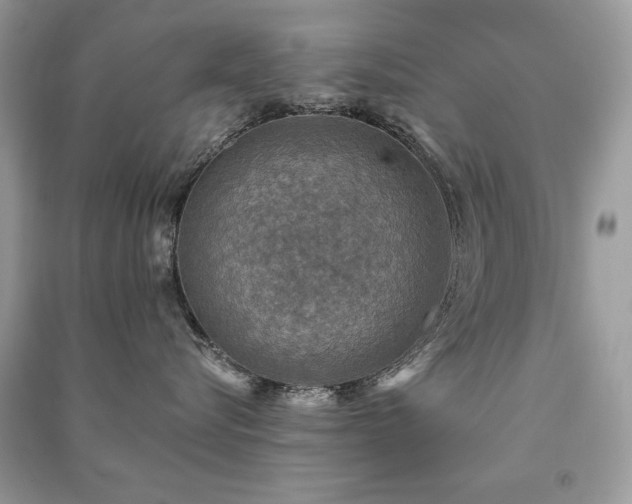 X0000091290576200708101248