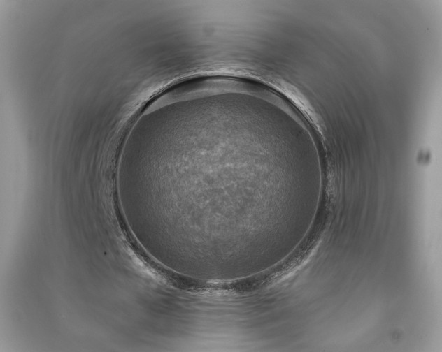 X0000091290577200708101248