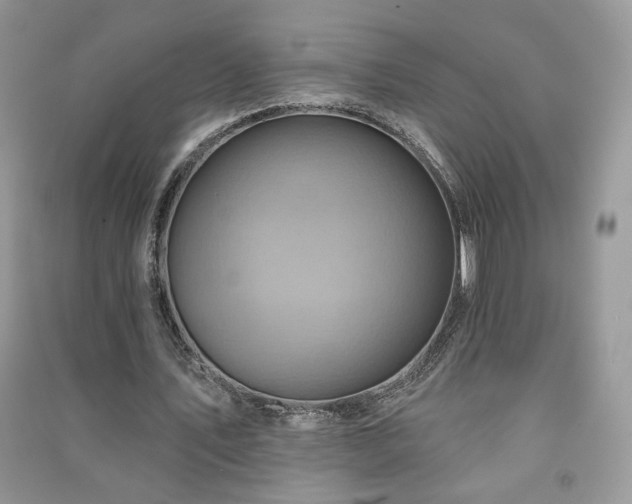 X0000091290579200708101248